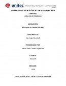 Principios de Calidad ISO 9001