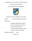 COVID-19 EN EL PERÚ: ENFERMERÍA Y VACUNACIÓN