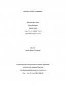 Estructura del Plan de Marketing