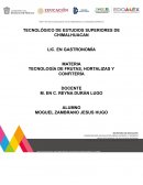 TECNOLOGÍA DE FRUTAS, HORTALIZAS Y CONFITERÍA