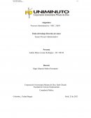 Ensayo procesos administrativos