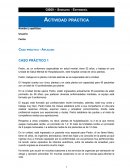 Seminario - Enfermería . Actividad práctica