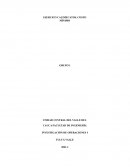 EJERCICIO CALIMECATOS, COSTO MÍNIMO