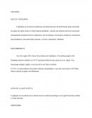 EPILEPSIA . QUÈ ES L’EPILEPSIA