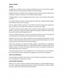 Amor de madre. Síntesis