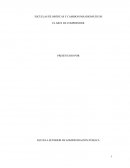 EL ARTE DE COMPRENDER