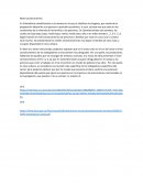 Sector socieconomico parrafo corto