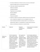 Programación de las actividades