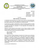 TALLER #1 COMO FUNCIONA LA DOLARIZACION