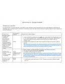 Ejercicio practico estrategias de busqueda