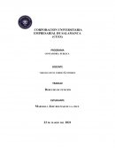 PROGRAMA contaduría publica