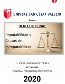 Imputabilidad y causas de inimputabilidad