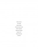 TP Administracion 3 recursos tangibles e intangibles