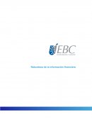 Naturaleza de la información financiera