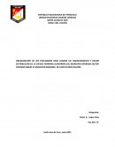 Trabajo sobre la pesca de camaron