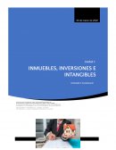 Cuestionario Inmuebles, Inversiones e Intangibles