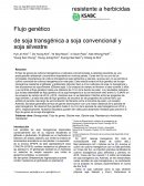 Flujo genético resistente a herbicidas acceso abierto de soja transgénica a soja convencional y soja silvestre
