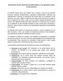 Importancia de los derechos fundamentales y sus garantías sobre el ente jurídico