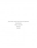 Tipos de controles y análisis de riesgos al interior de las organizaciones