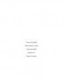 Gestion de calidad semana 3