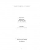 INSTALACION Y CONFIGURACION DE UN PULSOMETRO