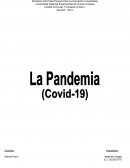 Analisis critico de la pandemia 2019