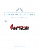 Formulacion de caso Sheila