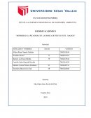 INFORME ACADÉMICO “MINIMIZAR LA PICADURA DE LA MOSCA DE FRUTA EN EL MANGO"