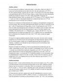 Informe Ejecutivo