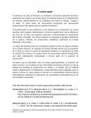 El caimán aguja