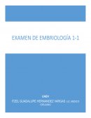 Embriología curso 1