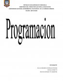 Lenguaje de programacion
