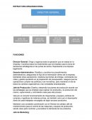 Estructura organizacional. Funciones