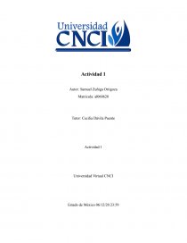 Actividad 1 - Programación - Universidad CNCI. Página 1