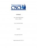 Actividad 1 - Programación - Universidad CNCI