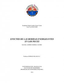 EFECTOS DE LAS BEBIDAS ENERGIZANTES EN LOS PECES. Página 1