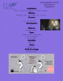 Polémica del feminismo a nivel mundial hoy en día