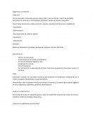 Organismos unicelulares ¿Qué son?