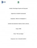 Plan de trabajo las Pymes en Mexico