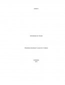 PROGRAMA SEGURIDAD Y SALUD EN EL TRABAJO