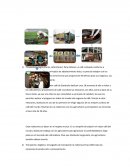 El nivel de Motivacion laboral en la empresa Protecorp