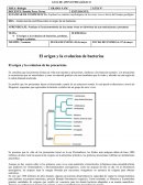 El origen y la evolucion de bacterias