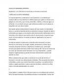 DUELO DE HERMANOS MENORES