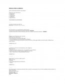 PARCIAL INTRO AL DERECHO