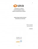 INFORME TRABAJO GESTIÓN DE PROYECTO. “AMPLIACIÓN LOCAL TERRI TIENDA”