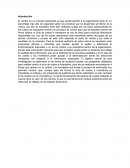 Auditoría -empresa PYME