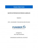 ERGONOMÍA Y PSICOSOCIOLOGÍA APLICADA