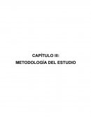 CAPÍTULO 3: METODOLOGÍA DEL ESTUDIO