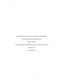 El administrador en prevención, sus funciones e instrumentos
