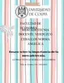 ENSAYO SOBRE LA IMPORTANCIA DE LA MERCADOTECNIA
